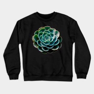 Echeveria Glauca Crewneck Sweatshirt